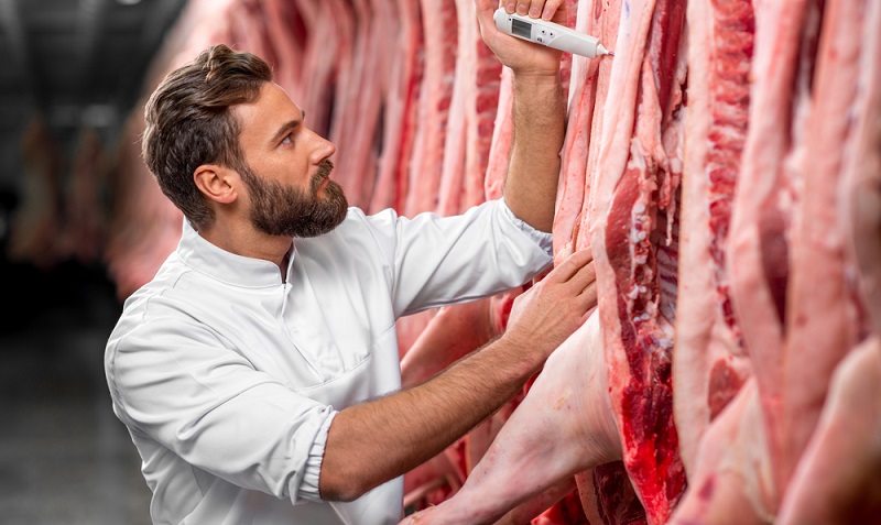 Neben den Aspekten des Tierschutzes und der Gesundheit spielen auch die steigenden Fleischpreise eine Rolle dafür, dass die Branchen der Milch- und Fleischverarbeitung unter Druck geraten.