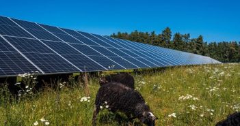 ABO Energy sichert EEG-Zuschläge für drei Solarparks 50 (Foto: ABO Energy GmbH & Co. KGaA)